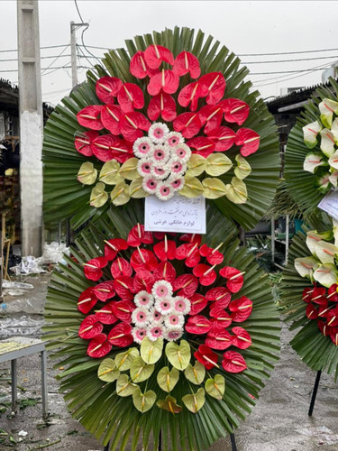 تاج گل تبریک افتتاحیه | با استفاده از گل های آنتریوم هلندی و ژرورا روی پایه فلزی در ارتفاع ۲.۵ متر
